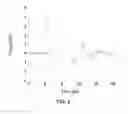 Fig. 03 - METHOD FOR PREPARING INTRACELLULAR ENZYMES