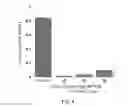 Fig. 05 - METHOD FOR PREPARING INTRACELLULAR ENZYMES