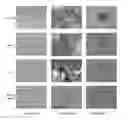 Fig. 01 - Particulate lyophilized platelet lysate compositions