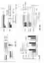 Fig. 12 - SELECTIVE SURFACES FOR, AND METHODS OF, SELECTING A POPULATION OF STEM AND PROGENITOR CELLS, AND USES THEREOF