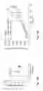 Fig. 18 - SELECTIVE SURFACES FOR, AND METHODS OF, SELECTING A POPULATION OF STEM AND PROGENITOR CELLS, AND USES THEREOF