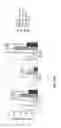 Fig. 22 - SELECTIVE SURFACES FOR, AND METHODS OF, SELECTING A POPULATION OF STEM AND PROGENITOR CELLS, AND USES THEREOF