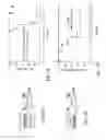Fig. 31 - SELECTIVE SURFACES FOR, AND METHODS OF, SELECTING A POPULATION OF STEM AND PROGENITOR CELLS, AND USES THEREOF