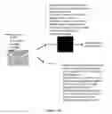 Fig. 20 - AUF1 ENCODING COMPOSITIONS FOR MUSCLE CELL UPTAKE, SATELLITE CELL POPULATIONS, AND SATELLITE CELL MEDIATED MUSCLE GENERATION