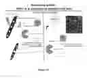 Fig. 22 - AUF1 ENCODING COMPOSITIONS FOR MUSCLE CELL UPTAKE, SATELLITE CELL POPULATIONS, AND SATELLITE CELL MEDIATED MUSCLE GENERATION