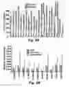 Fig. 08 - METHOD OF ENHANCING SOMATIC CELL REPROGRAMMING WITH THE ACETYLLYSINE READER BRD3R
