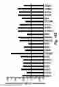 Fig. 40 - METHOD OF ENHANCING SOMATIC CELL REPROGRAMMING WITH THE ACETYLLYSINE READER BRD3R