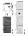 Fig. 03 - Induction of pluripotent cells