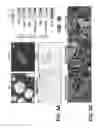 Fig. 06 - Induction of pluripotent cells