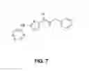 Fig. 12 - Induction of pluripotent cells