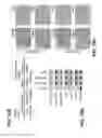 Fig. 17 - Induction of pluripotent cells