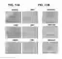 Fig. 19 - Induction of pluripotent cells