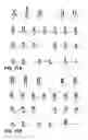 Fig. 25 - Induction of pluripotent cells