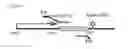 Fig. 03 - CRISPR/CAS9 BASED ENGINEERING OF ACTINOMYCETAL GENOMES