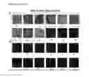 Fig. 17 - CRISPR/CAS9 BASED ENGINEERING OF ACTINOMYCETAL GENOMES