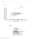 Fig. 08 - Assays to identify genetic elements affecting phenotype