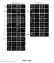 Fig. 59 - TRIM11 for degradation of protein aggregates
