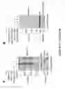 Fig. 68 - TRIM11 for degradation of protein aggregates