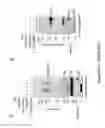 Fig. 69 - TRIM11 for degradation of protein aggregates