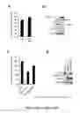 Fig. 75 - TRIM11 for degradation of protein aggregates