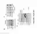Fig. 80 - TRIM11 for degradation of protein aggregates
