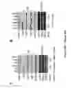 Fig. 82 - TRIM11 for degradation of protein aggregates