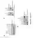 Fig. 85 - TRIM11 for degradation of protein aggregates