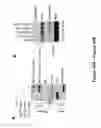Fig. 93 - TRIM11 for degradation of protein aggregates