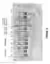 Fig. 14 - ANTISENSE OLIGONUCLEOTIDES FOR INDUCING EXON SKIPPING AND METHODS OF USE THEREOF