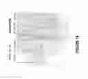 Fig. 17 - ANTISENSE OLIGONUCLEOTIDES FOR INDUCING EXON SKIPPING AND METHODS OF USE THEREOF