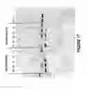 Fig. 18 - ANTISENSE OLIGONUCLEOTIDES FOR INDUCING EXON SKIPPING AND METHODS OF USE THEREOF