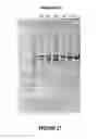 Fig. 22 - ANTISENSE OLIGONUCLEOTIDES FOR INDUCING EXON SKIPPING AND METHODS OF USE THEREOF
