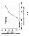 Fig. 19 - SDF-1 Binding Nucleic Acids