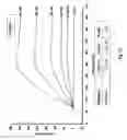 Fig. 22 - SDF-1 Binding Nucleic Acids