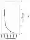 Fig. 35 - SDF-1 Binding Nucleic Acids