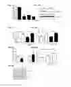 Fig. 08 - Sortilin 1 is a novel inducer of vascular calcification