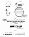 Fig. 06 - Gene expression in Bacteroides