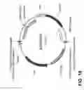 Fig. 46 - FAD3 performance loci and corresponding target site specific binding proteins capable of inducing targeted breaks