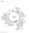 Fig. 03 - Reconstruction of site specific nuclease binding sites