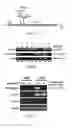 Fig. 06 - Transgenic plants expressing type 2C protein phosphatase abscisic acid (PP2CABA) proteins and uses thereof
