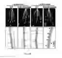 Fig. 08 - Transgenic plants expressing type 2C protein phosphatase abscisic acid (PP2CABA) proteins and uses thereof