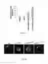 Fig. 10 - Transgenic plants expressing type 2C protein phosphatase abscisic acid (PP2CABA) proteins and uses thereof