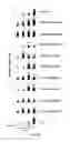 Fig. 16 - Transgenic plants expressing type 2C protein phosphatase abscisic acid (PP2CABA) proteins and uses thereof