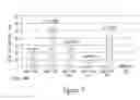 Fig. 06 - CHIMERIC NUCLEIC ACID MOLECULES WITH NON-AUG TRANSLATION INITIATION SEQUENCES AND USES THEREOF