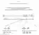 Fig. 03 - Recombinant HVT vectors expressing multiple antigens of avian pathogens and uses thereof