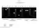 Fig. 06 - Recombinant HVT vectors expressing multiple antigens of avian pathogens and uses thereof