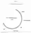 Fig. 26 - Recombinant HVT vectors expressing multiple antigens of avian pathogens and uses thereof