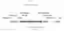 Fig. 27 - Recombinant HVT vectors expressing multiple antigens of avian pathogens and uses thereof