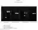 Fig. 29 - Recombinant HVT vectors expressing multiple antigens of avian pathogens and uses thereof