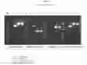 Fig. 32 - Recombinant HVT vectors expressing multiple antigens of avian pathogens and uses thereof